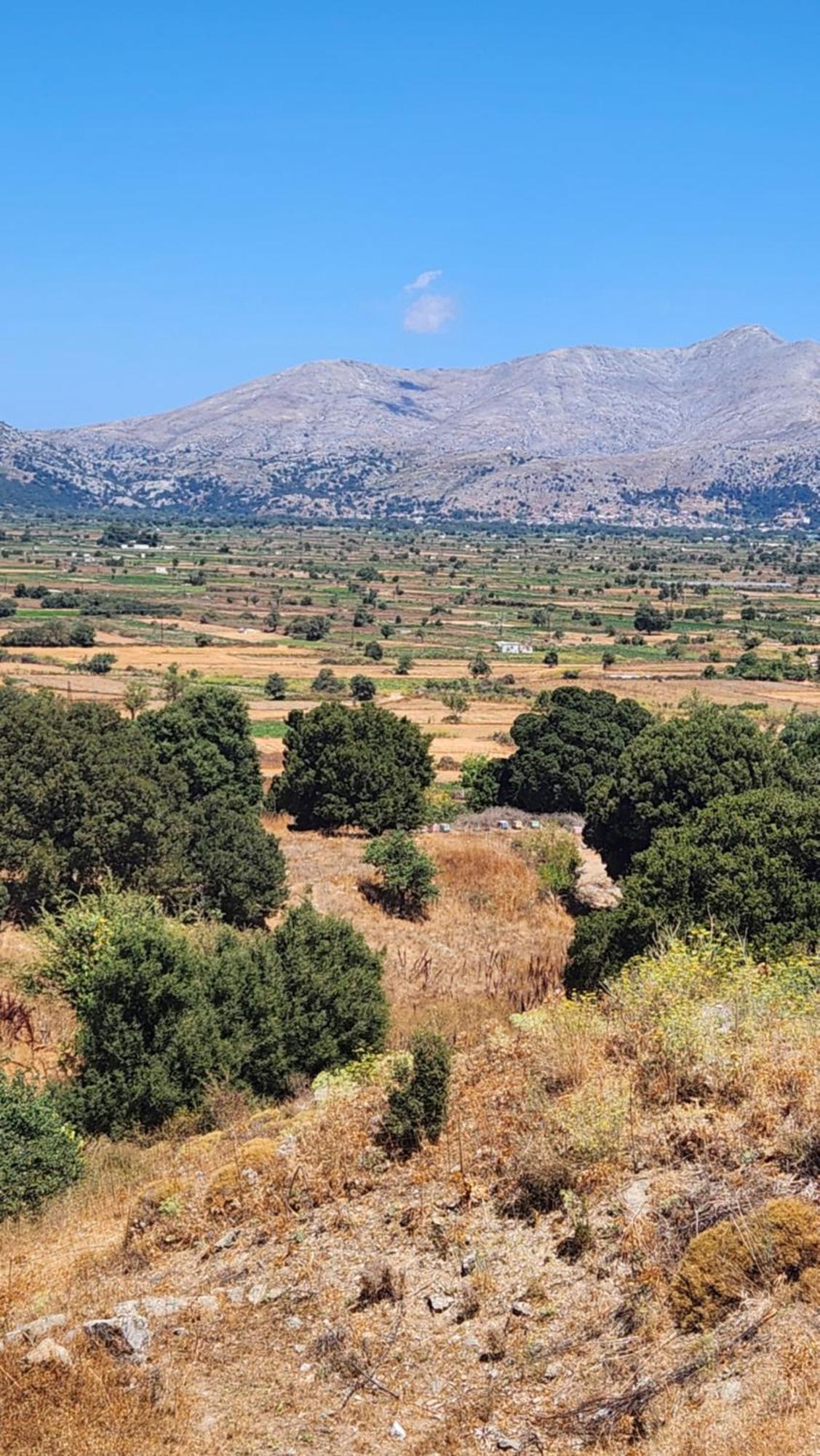 Dionysus Lasithi Plateau Hotel Magoulas Luaran gambar